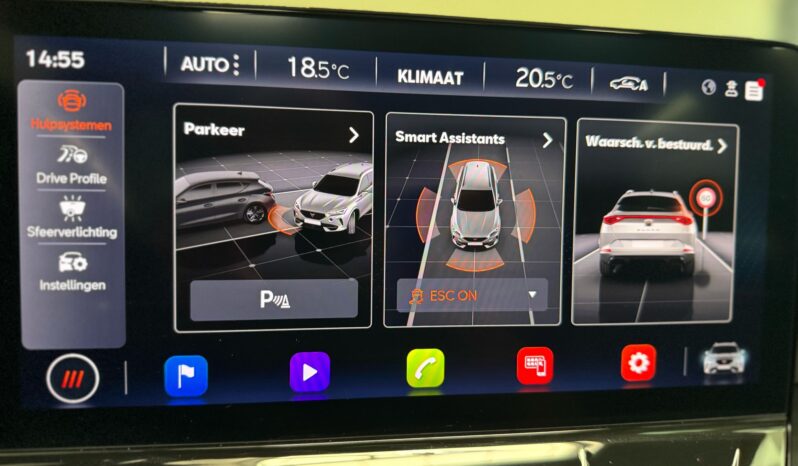 
								CUPRA Formentor 1.5 TSI nardo grey automaat pano keyles volledig									