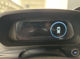 
										Hyundai I20 1.0 T-GDI Premium volledig									