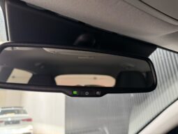 
										Kia Rio 1.0 T-GDi MHEV DynamicPlusLine volledig									