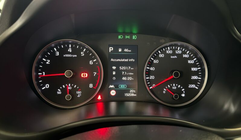 
								Kia Rio 1.0 T-GDi MHEV DynamicPlusLine volledig									