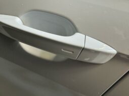 
										Volkswagen Polo 1.0 TSI 3x r-line pano keyless beats volledig									