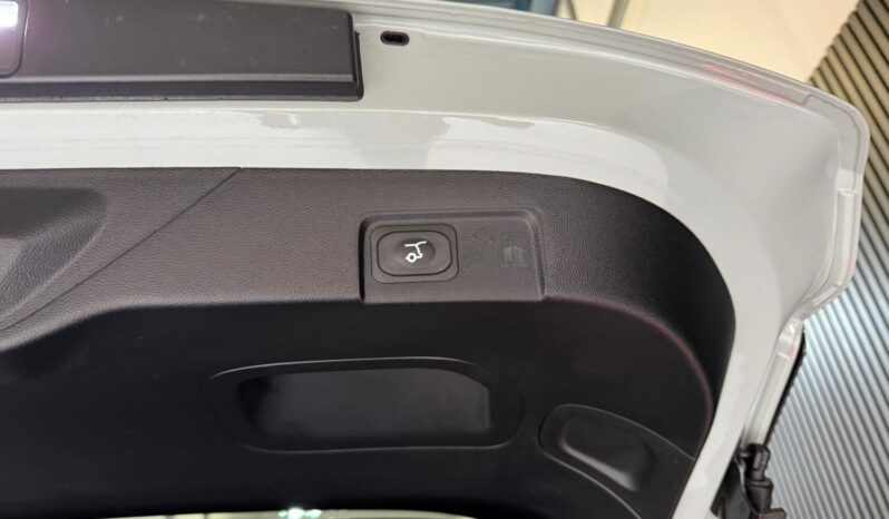 
								Ford Puma 1.0 EcoBoost Hybrid ST-Line pano keyless volledig									