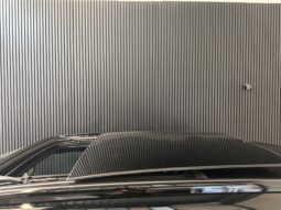 
										Peugeot 2008 1.2 PureTech GT panoramadak automaat volledig									