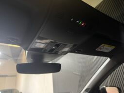 Volkswagen Polo 2.0 TSI GTI DSG 207PK Facelift Pano Beats Nav full