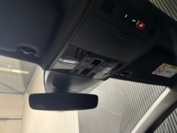 
										Volkswagen Polo 1.0 TSI R-Line Edition Panoramadak camera volledig									